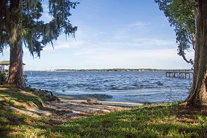 St. John's river view
